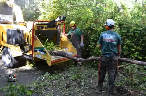 tree services California City